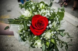 Mawar merah