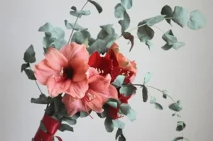 Mawar pink merah