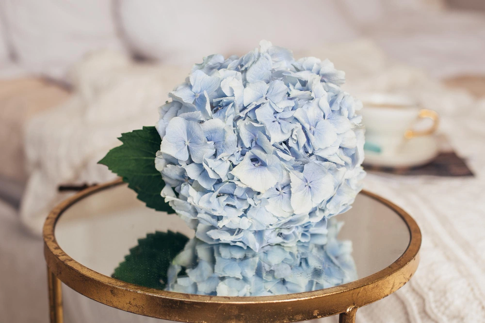 Bunga dengan warna cerah