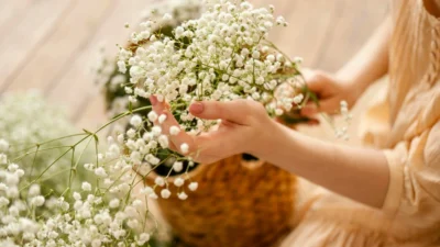 10 Bunga yang Cocok Jadi Hadiah Kelahiran Bayi 2 Bunga untuk kelahiran bayi